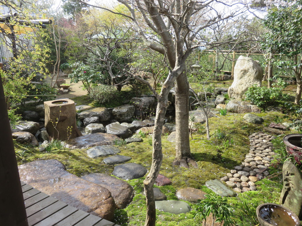 鎌倉 桜の庭 主庭