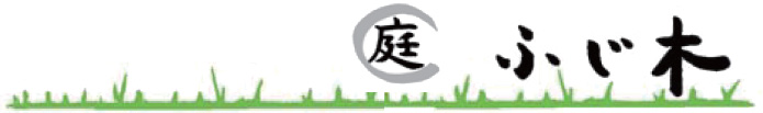 庭ふじ木